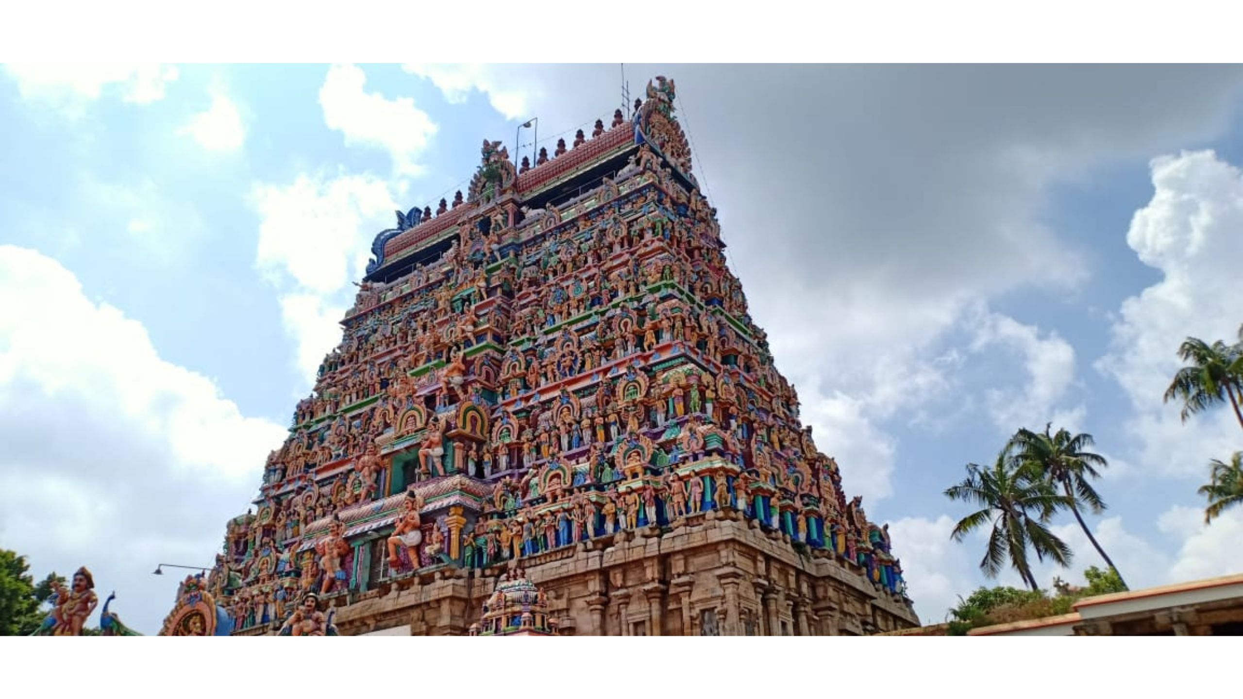 Earth element temple with sacred 3500-year-old mango tree for grounding yoga practices in Kanchipuram